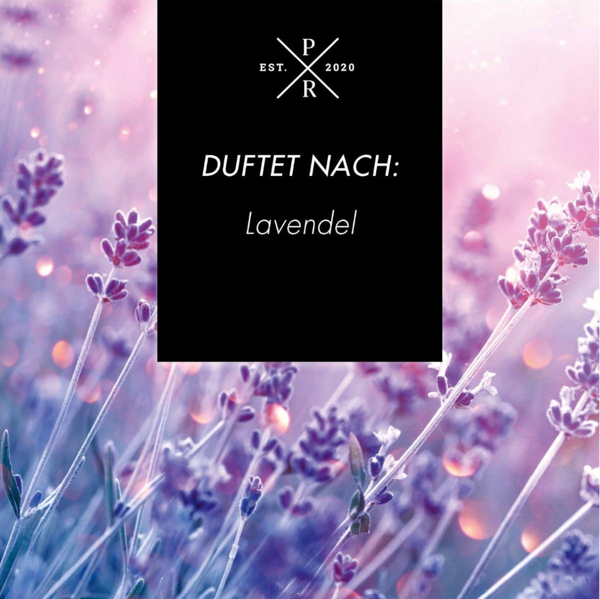 Pure Lavender