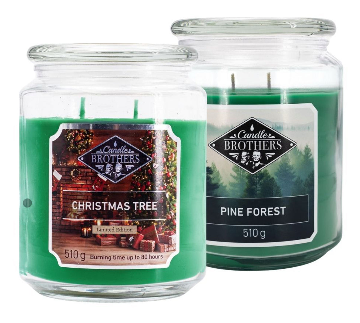 Pine Forest & Christmas Tree