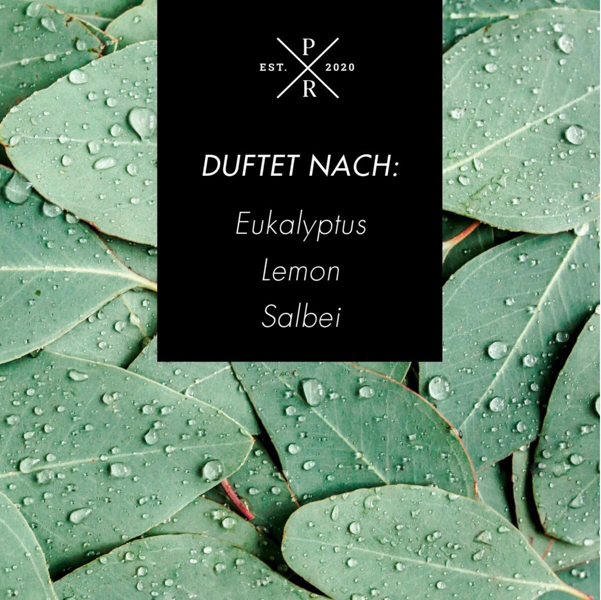 Eucalyptus & Lemongrass