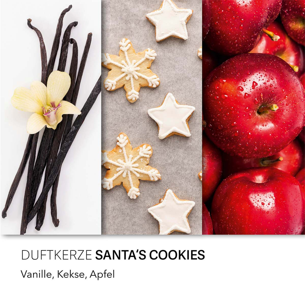 Santa's Cookies & Christmas Tree