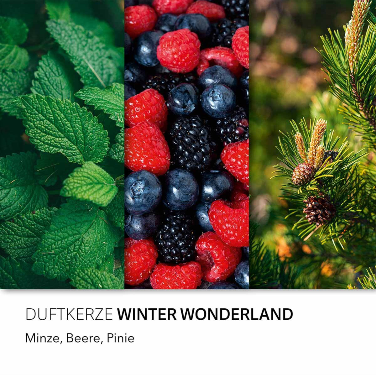 Winter Wonderland