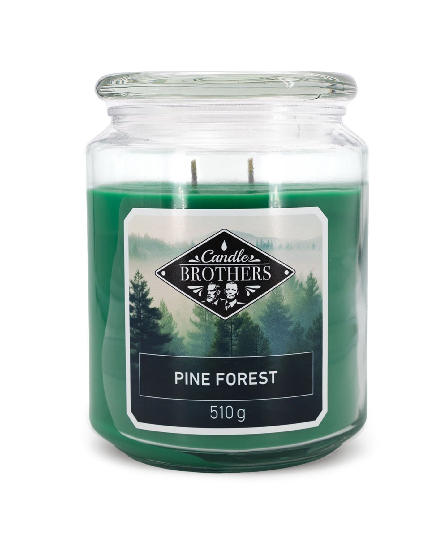 Pine Forest & Christmas Tree