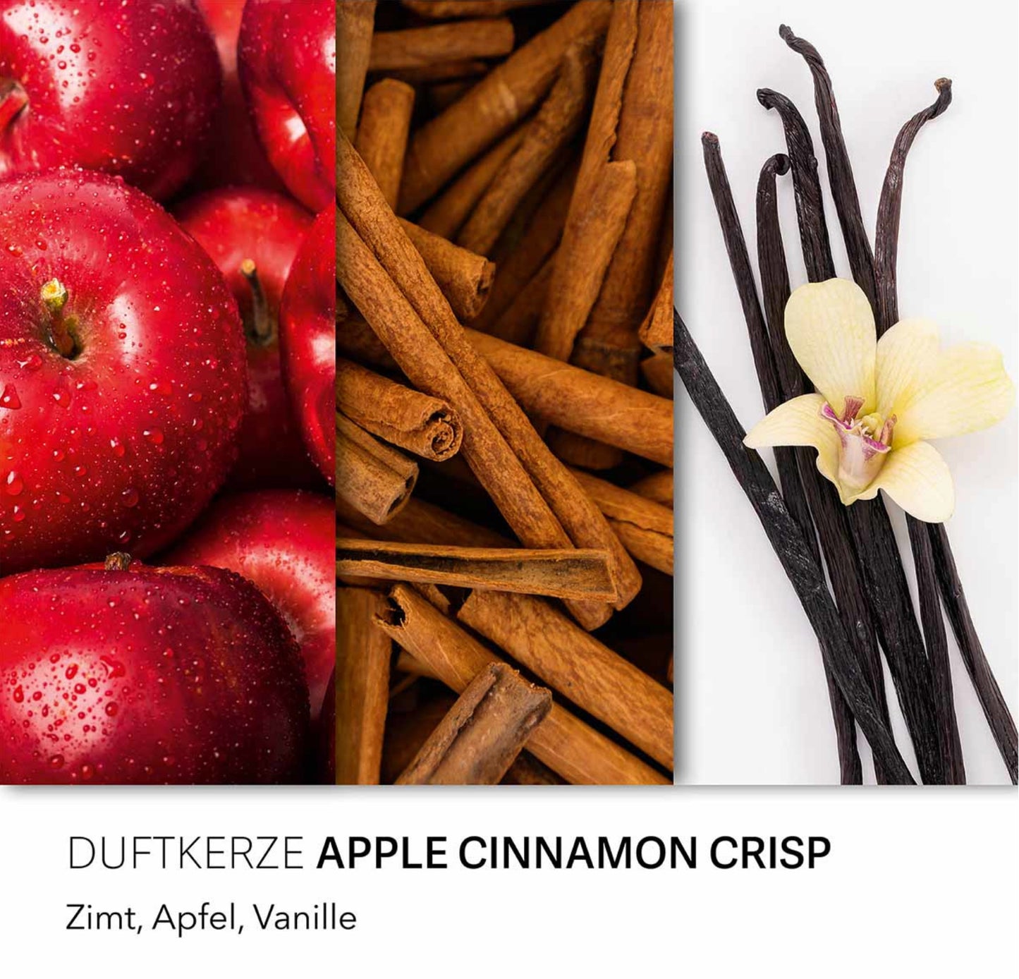 Apple Cinnamon Crisp