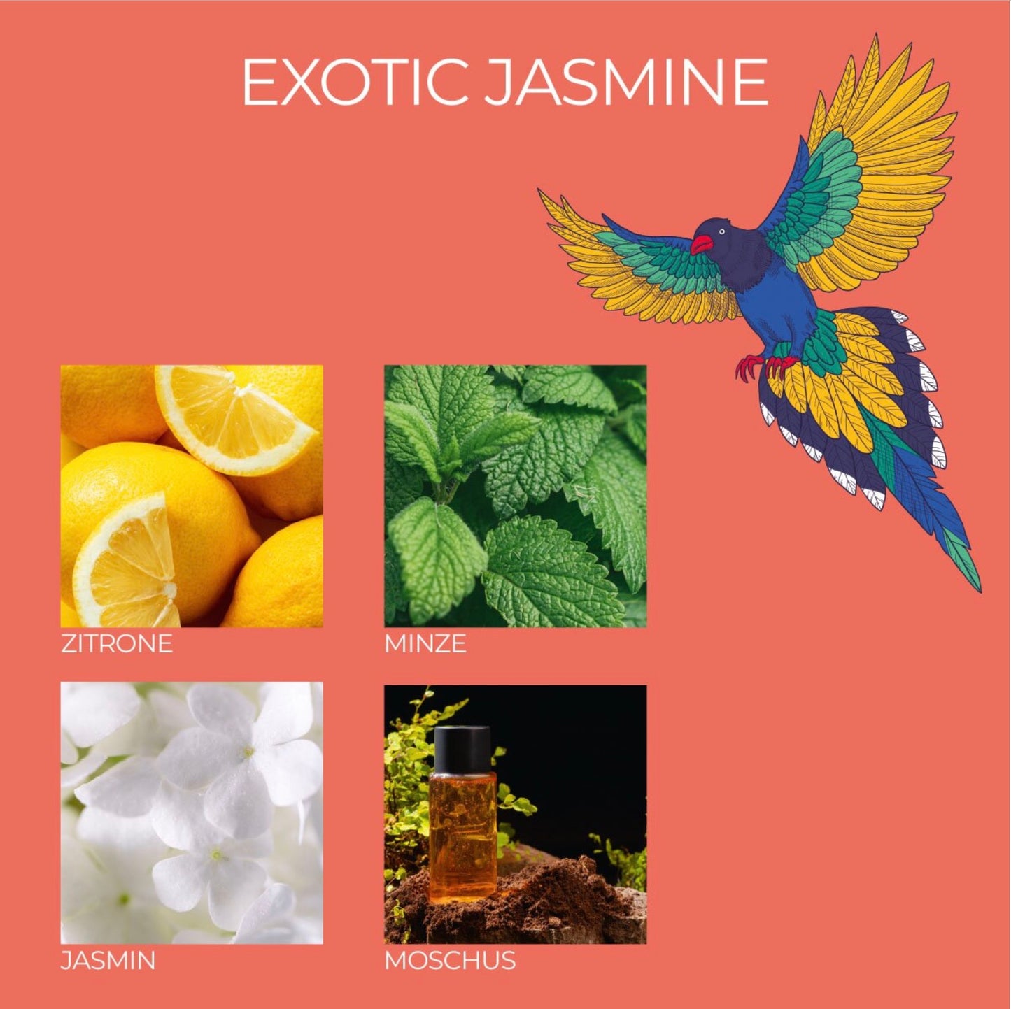 Exotic Jasmine