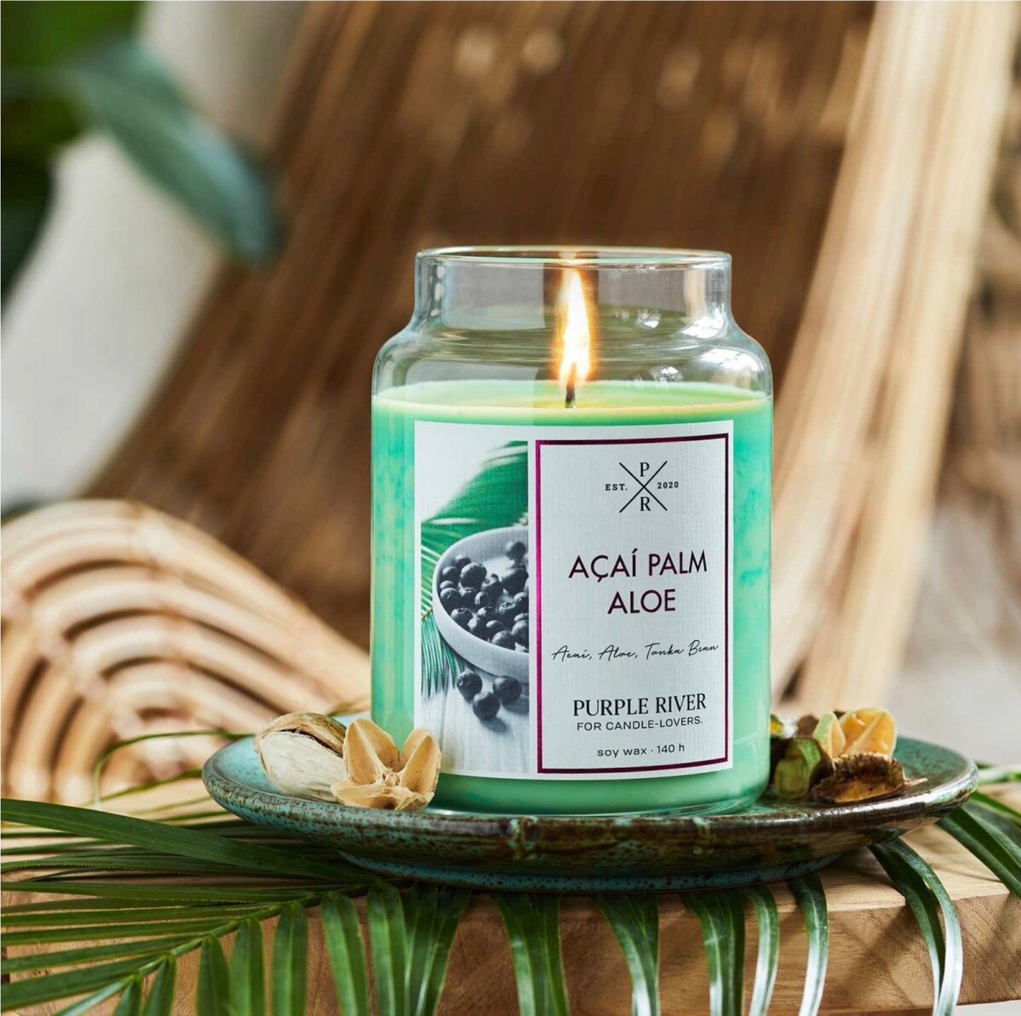 Acai Palm Aloe