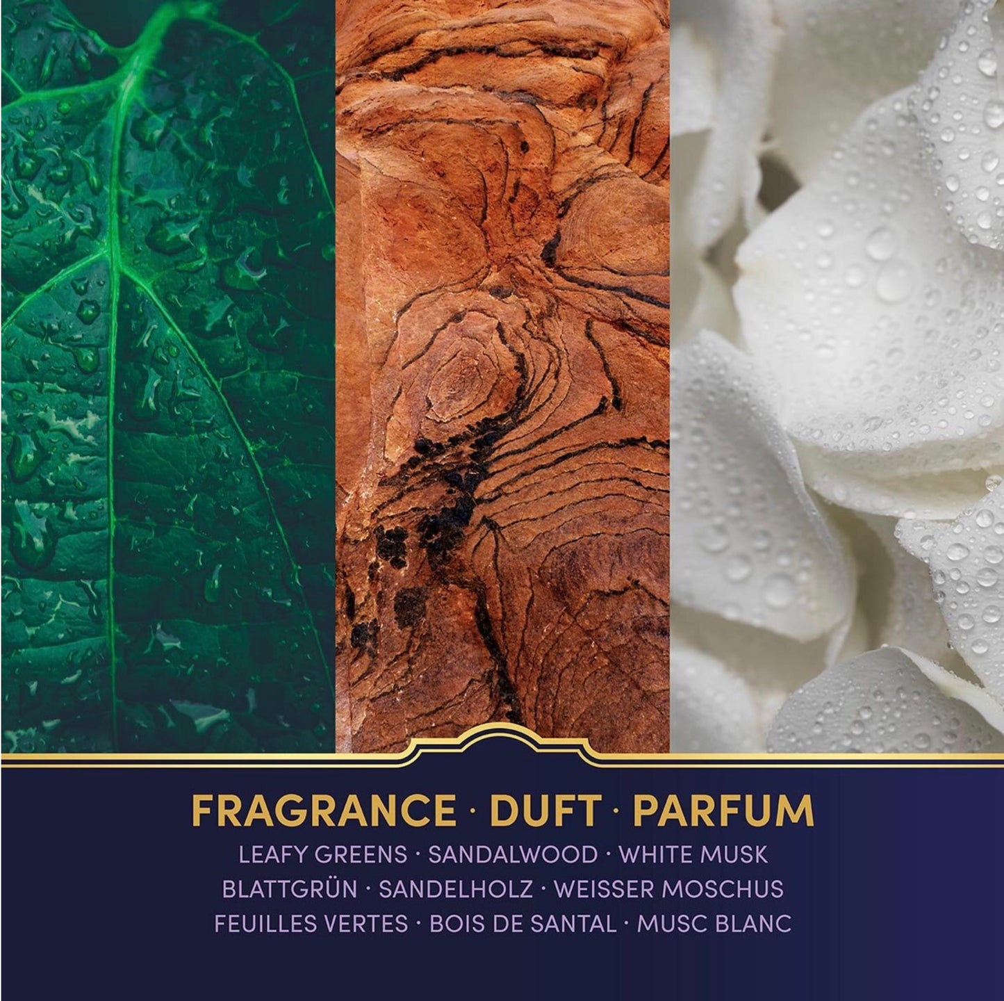 Harry Potter™ Ravenclaw