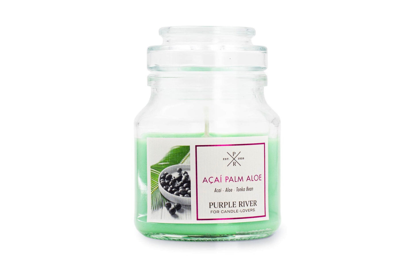 Acai Palm Aloe