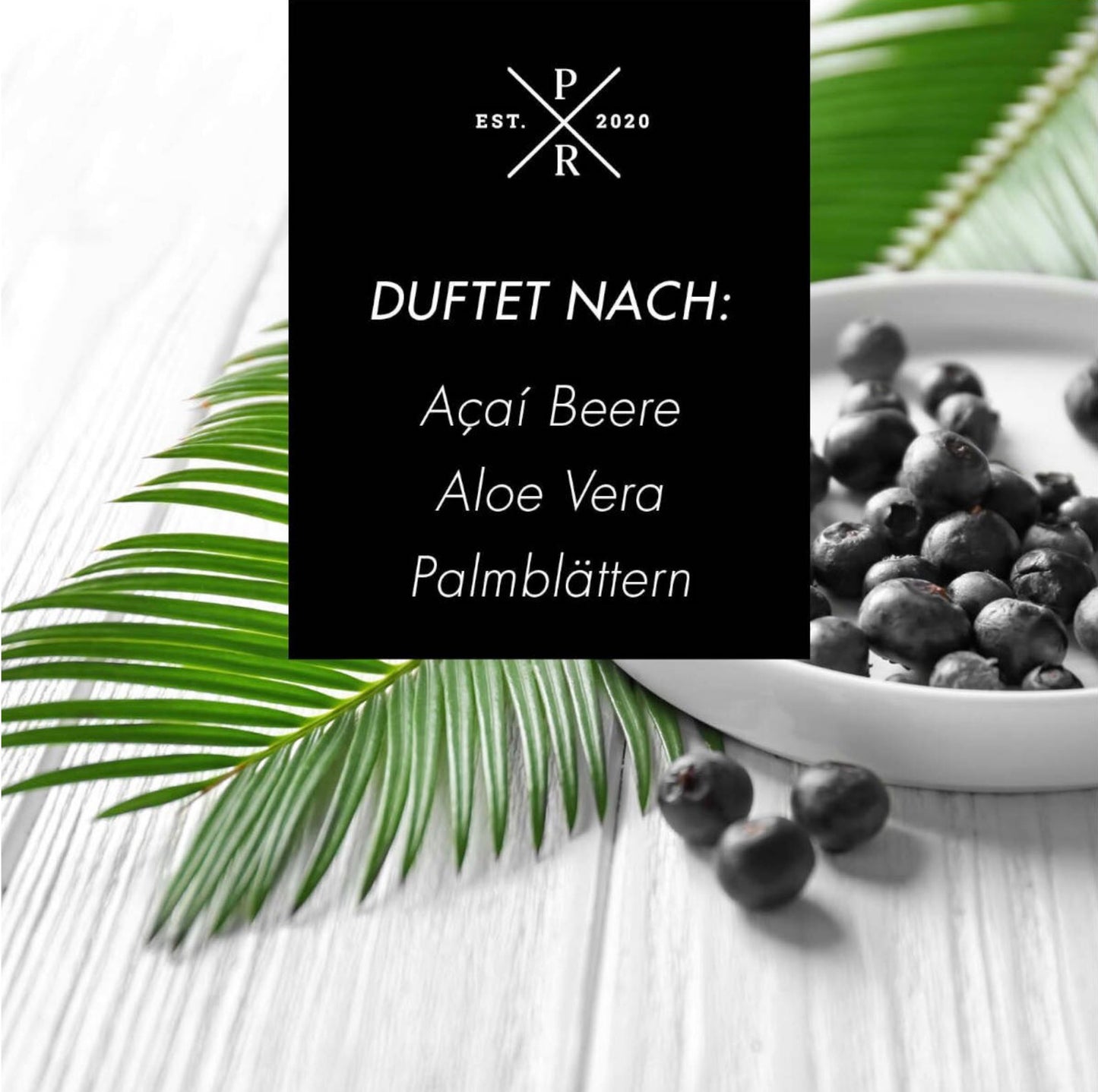 Acai Palm Aloe